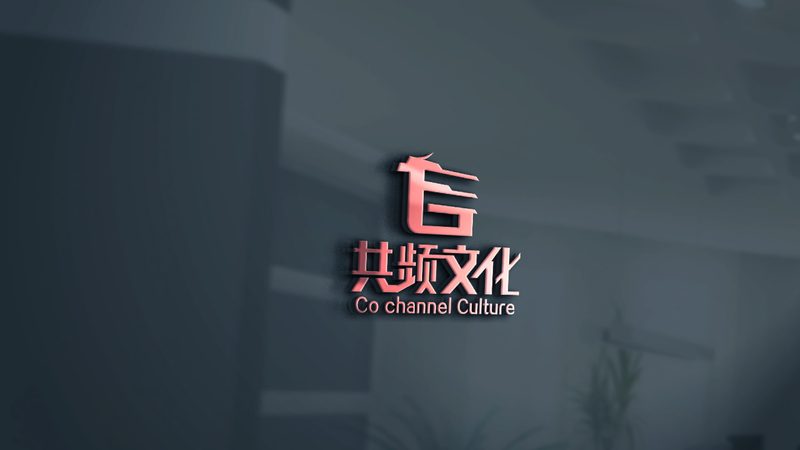 品牌设计全案：价格背后的考量因素