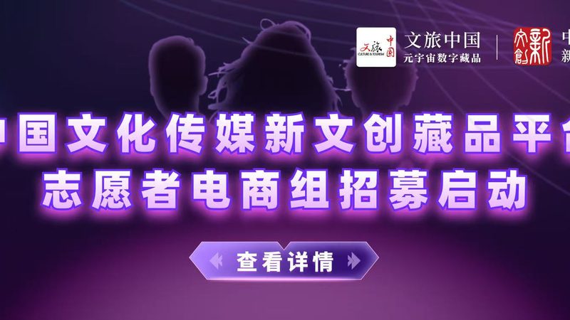 上海企业宣传片制作报价：揭秘成本构成与优化策略**