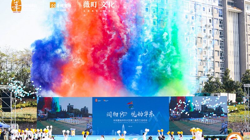 VI设计揭秘：品牌色与字体规范不可或缺